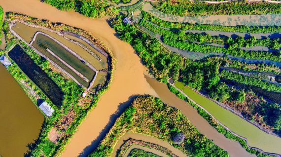 Smart Irrigation Techniques for Sustainable Farming